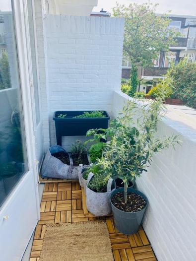 Appartement - Voorthuizenstraat - 's-Gravenhage